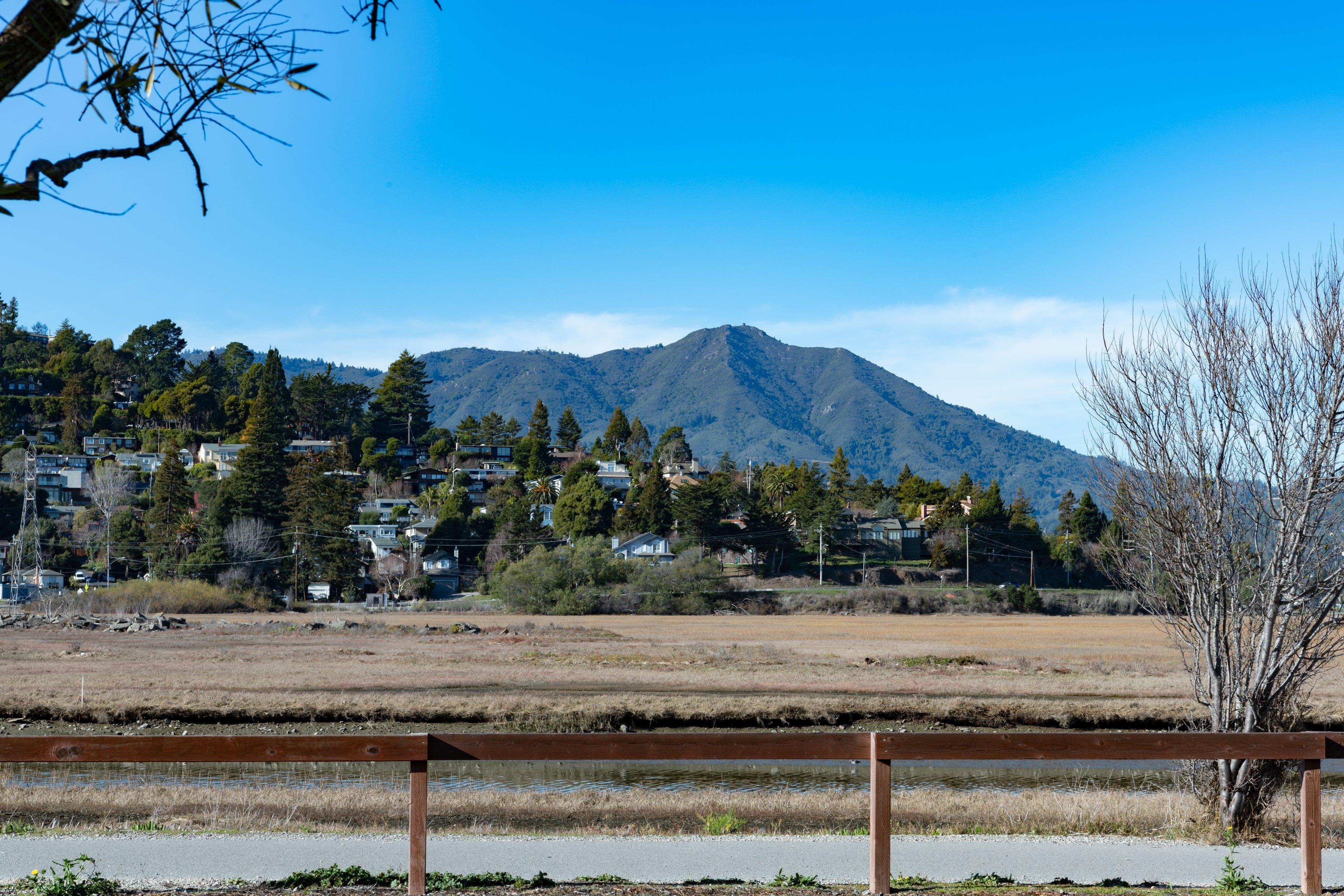Holiday Inn Express Mill Valley San Francisco Area By Ihg Bagian luar foto