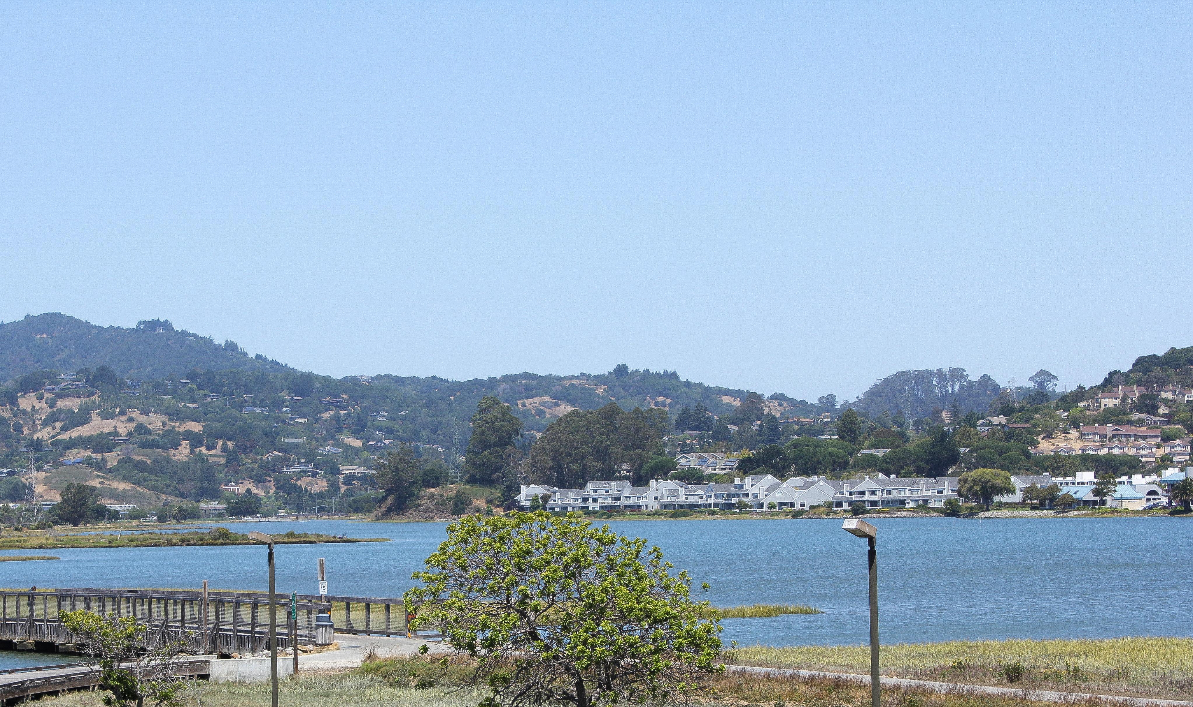 Holiday Inn Express Mill Valley San Francisco Area By Ihg Bagian luar foto