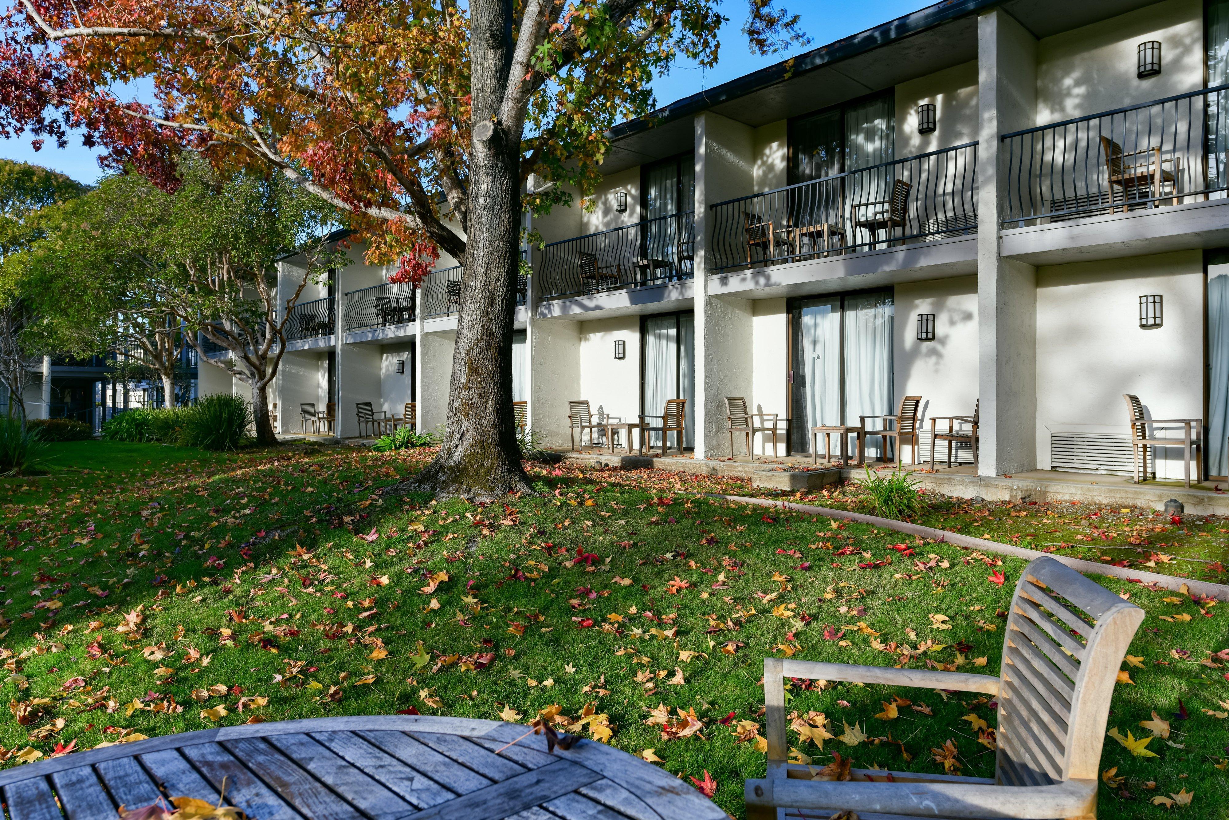Holiday Inn Express Mill Valley San Francisco Area By Ihg Bagian luar foto